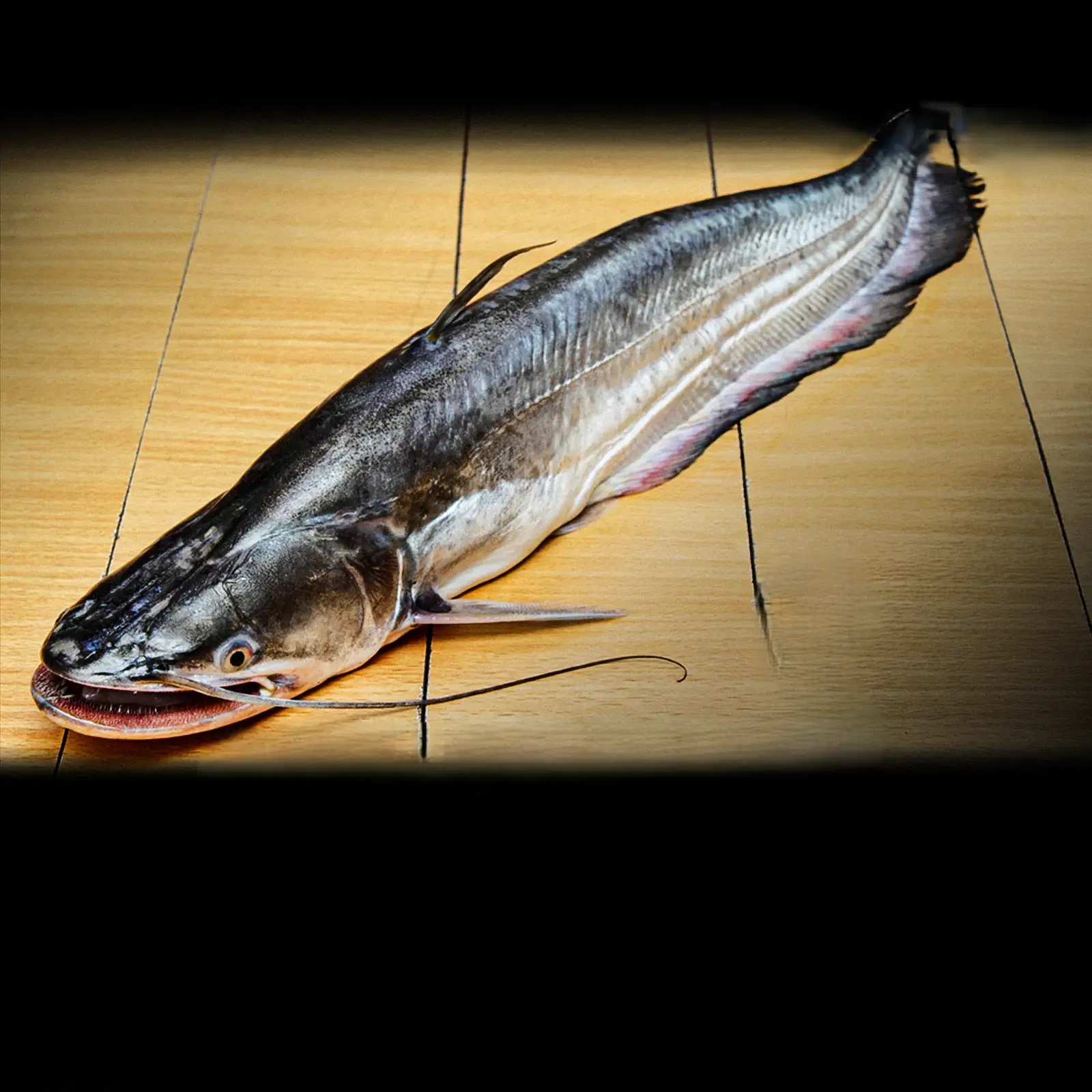 Fresh Fish Malli Per 500 gm